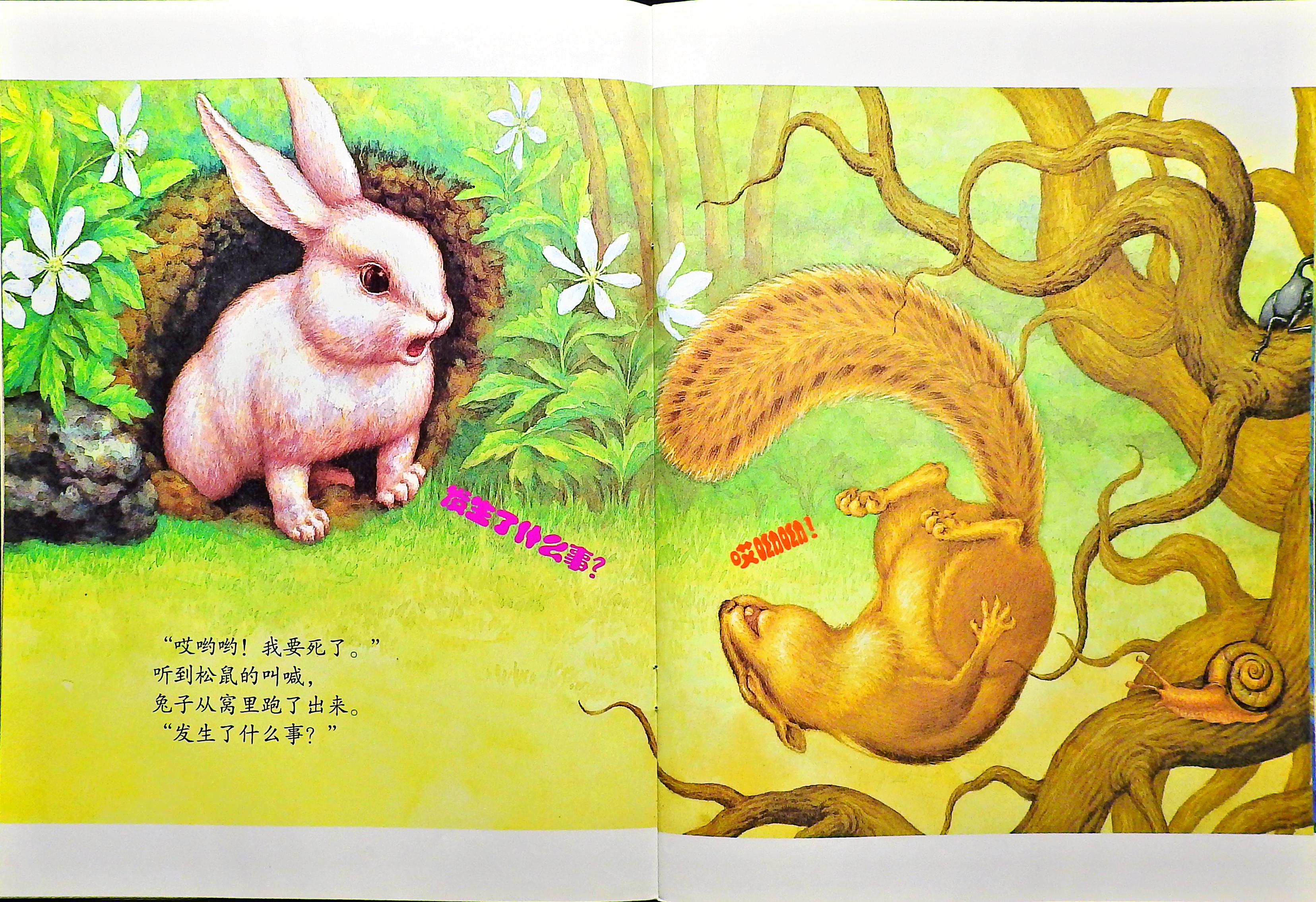 为什么会地震 (06),绘本,绘本故事,绘本阅读,故事书,童书,图画书,课外阅读